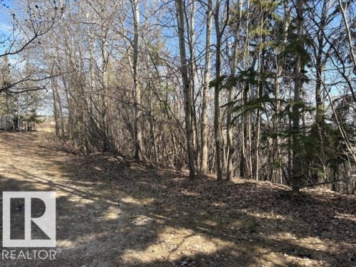 241 Darlington Crescent, Edmonton, AB 