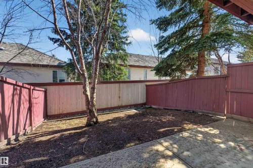 Fenced outdoor space featuring a concrete patio, a mature tree, and a blend of natural and painted wood fencing - 6 1237 Carter Crest Road, Edmonton, AB 