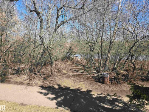 10282 87 Street, Edmonton, AB - Outdoor With View