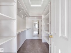 Walk-in closet featuring extensive built-in shelving, carpet flooring, a skylight, a full-length mirror, and a panel door with brass hardware - 