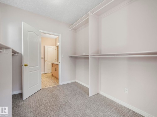 Walk-in closet featuring built-in shelving, hanging rods, light gray patterned carpeting, and white baseboards - 1054 Ormsby Crescent, Edmonton, AB - Indoor