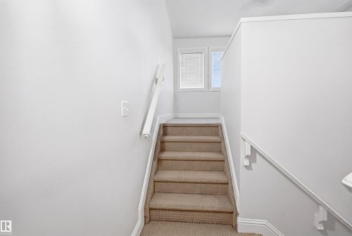 Carpeted staircase featuring white risers and handrails, complemented by white walls and trim - 3545 11 Street, Edmonton, AB - Indoor Photo Showing Other Room