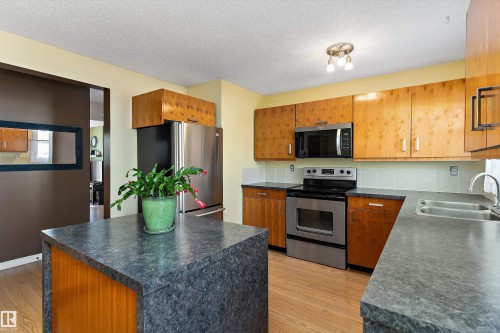 17132 103 Street, Edmonton, AB - Indoor Photo Showing Kitchen With Double Sink