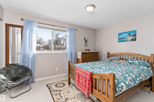 17132 103 Street, Edmonton, AB - Indoor Photo Showing Bedroom