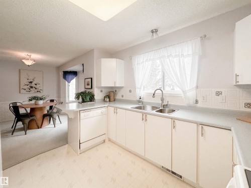 3 10 Devon Close, St. Albert, AB - Indoor Photo Showing Kitchen With Double Sink