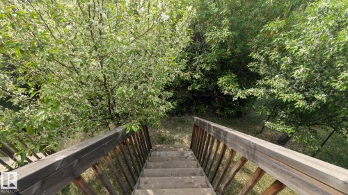 Tiered outdoor access featuring a wood staircase and railing, surrounded by mature trees with lush green foliage and white blossoms - #11 13215 153 Avenue, Edmonton, AB - Outdoor