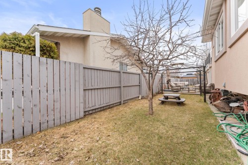 Enclosed backyard space featuring a gray wood fence, a mature deciduous tree, and a metal pergola structure - 16424 106 Street, Edmonton, AB - Outdoor
