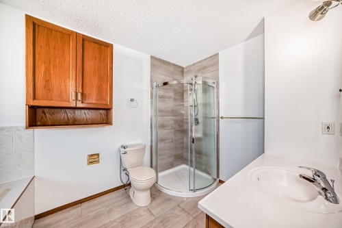 4631 43 Avenue, Edmonton, AB - Indoor Photo Showing Bathroom