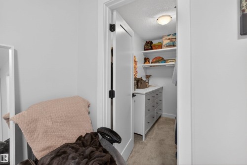 Walk-in closet featuring built-in shelving, a chest of drawers, and carpet flooring under an overhead light fixture - 53 Wingate Way, Fort Saskatchewan, AB - Indoor