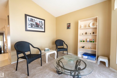 48 3311 58 Street, Edmonton, AB - Indoor
