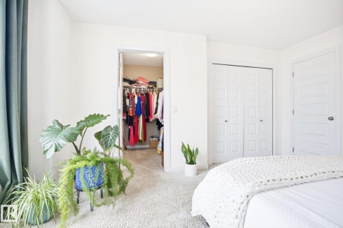 2061 Trumpeter Way, Edmonton, AB - Indoor Photo Showing Bedroom
