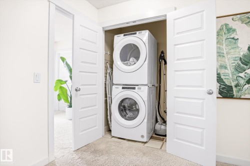 2061 Trumpeter Way, Edmonton, AB - Indoor Photo Showing Laundry Room
