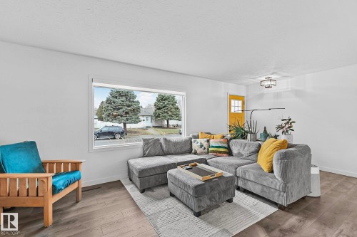 10315 47 Street, Edmonton, AB - Indoor Photo Showing Living Room