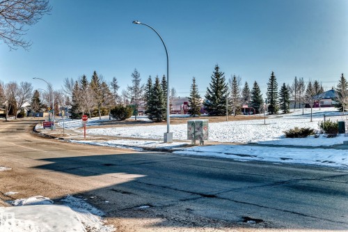 The property is located within a community featuring paved roads, streetlights, and a park area with evergreen trees - 4224 30 Street, Edmonton, AB - Outdoor With View