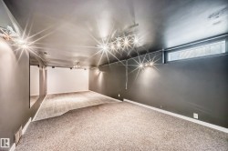 Spacious room with dark gray walls, white trim, and a combination of light-toned carpet and wood-finish flooring - 