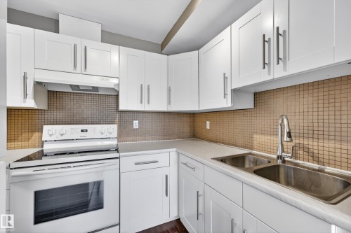 1556 69 Street, Edmonton, AB - Indoor Photo Showing Kitchen With Double Sink