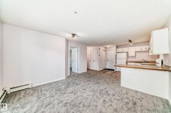 Open-concept living space featuring gray textured carpeting, neutral wall finishes, and a kitchen with white cabinetry and a built-in breakfast bar - 