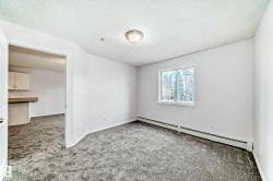 Neutral wall paint throughout - 