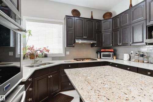 445 Whiston Way, Edmonton, AB - Indoor Photo Showing Kitchen With Double Sink