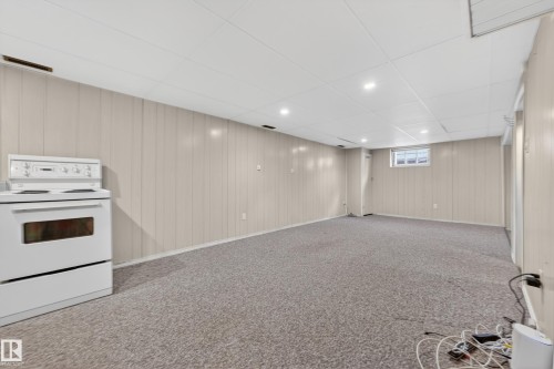 12319 102 Street, Edmonton, AB - Indoor Photo Showing Basement