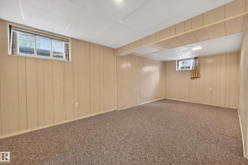 12319 102 Street, Edmonton, AB - Indoor Photo Showing Basement