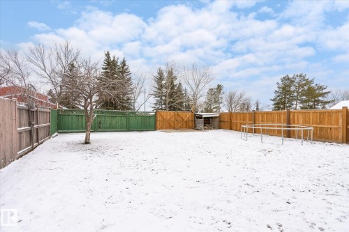 Expansive backyard featuring a combination of wood and green lattice fencing, a mature tree, and a concrete patio area - 70 Stirling Road, Edmonton, AB - Outdoor