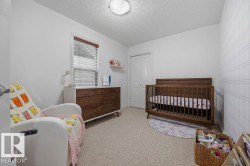 Room featuring light carpeting, white walls, and a window with horizontal blinds - 
