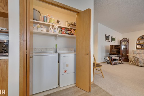 38 Highland Crescent, St. Albert, AB - Indoor Photo Showing Laundry Room