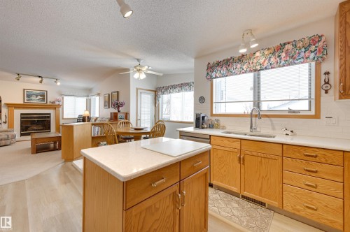 38 Highland Crescent, St. Albert, AB - Indoor Photo Showing Kitchen With Fireplace With Double Sink