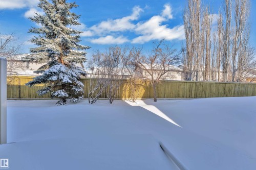 Expansive backyard with a deep blanket of snow, featuring a mature evergreen tree and a tall wooden privacy fence - 110 13825 155, Edmonton, AB - Outdoor