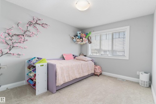 18096 89 Street, Edmonton, AB - Indoor Photo Showing Bedroom