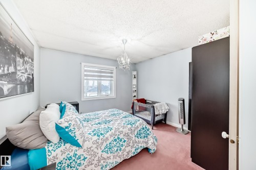 6223 162B Ave, Edmonton, AB - Indoor Photo Showing Bedroom