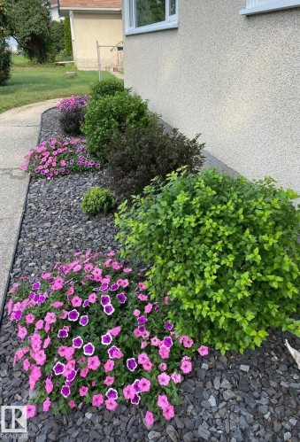 7719 71 Avenue, Edmonton, AB - Outdoor