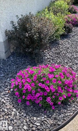 7719 71 Avenue, Edmonton, AB - Outdoor