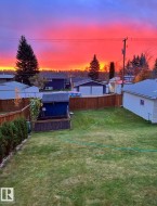 Expansive backyard featuring a manicured lawn, established privacy fencing, and mature evergreen trees - 
