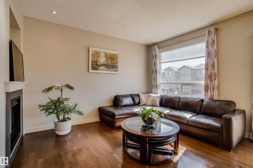 3843 Agar Green, Edmonton, AB - Indoor Photo Showing Living Room