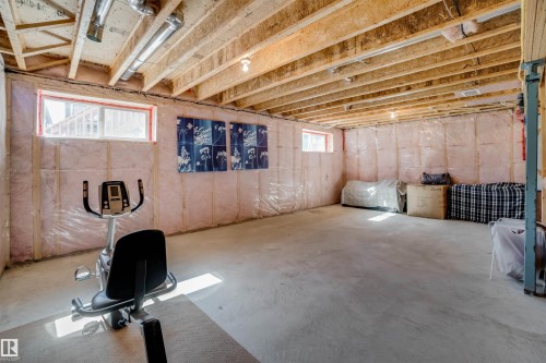 3843 Agar Green, Edmonton, AB - Indoor Photo Showing Basement