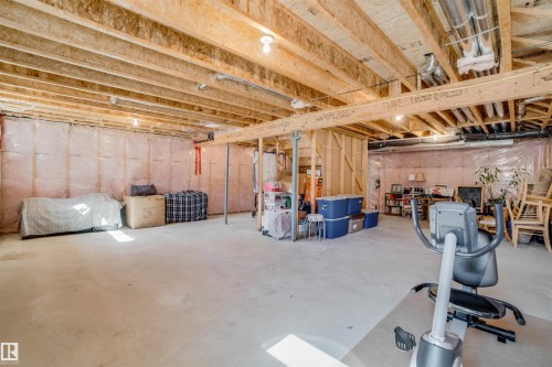 3843 Agar Green, Edmonton, AB - Indoor Photo Showing Basement