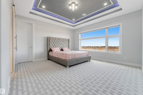 Spacious room featuring a tiered tray ceiling with recessed lighting, a large picture window, patterned carpeting, a modern sliding barn door, and a solid interior door - 3736 1 Avenue Sw, Edmonton, AB - Indoor Photo Showing Bedroom