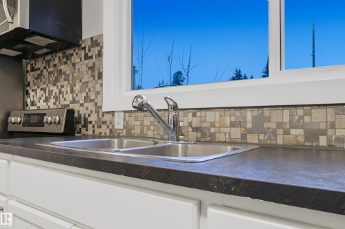 13228 83 Street Nw, Edmonton, AB - Indoor Photo Showing Kitchen With Double Sink