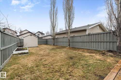 Expansive backyard featuring a privacy fence, mature trees, a storage shed, and a raised garden bed - 5407 204 Street, Edmonton, AB - Outdoor