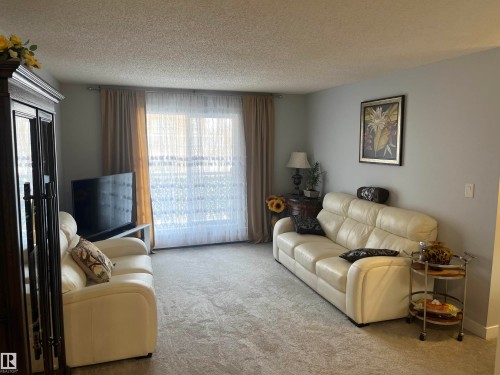 302 17467 98A Avenue, Edmonton, AB - Indoor Photo Showing Living Room