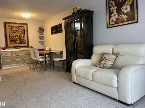 302 17467 98A Avenue, Edmonton, AB - Indoor Photo Showing Living Room