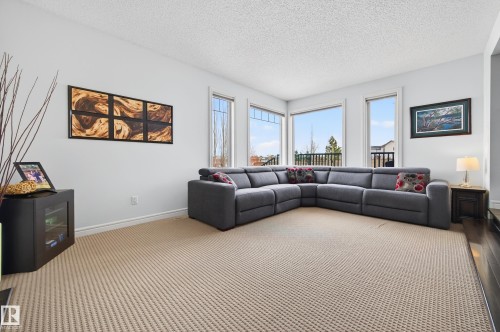 Bright living space featuring multiple large windows, textured carpeting, crisp white walls, and white trim - 8477 Sloane Crescent, Edmonton, AB - Indoor Photo Showing Living Room
