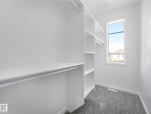 Walk-in closet featuring built-in shelving, hanging rods, an exterior window, and gray carpet flooring - 272 Munn Way, Leduc, AB - Indoor With Storage