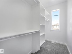 Walk-in closet featuring built-in shelving, hanging rods, an exterior window, and gray carpet flooring - 