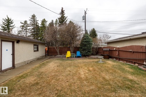 Expansive backyard featuring a detached garage with an exterior door, a concrete walkway, mature evergreen trees, and a wooden privacy fence - 8612 68A Street, Edmonton, AB - Outdoor