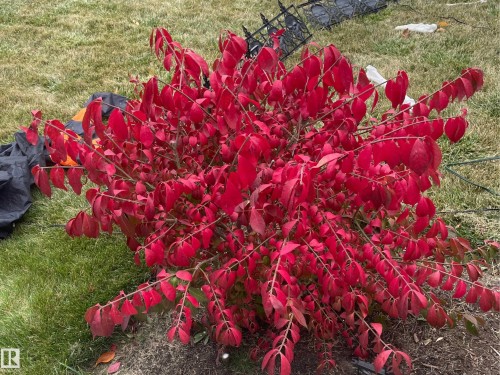 2547 Lockhart Way, Cold Lake, AB - Outdoor