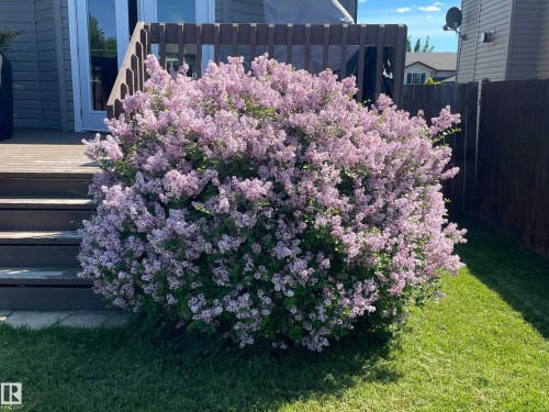 2547 Lockhart Way, Cold Lake, AB - Outdoor