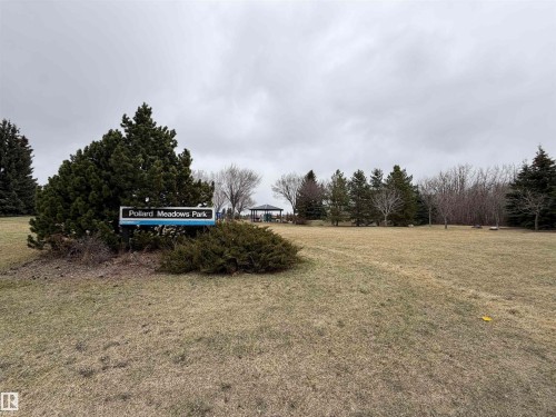 Pollard Meadows Park entrance featuring a prominent park sign and established evergreen landscaping - 2039 48 Street, Edmonton, AB - Outdoor With View